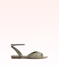 Agatha Flat Fossil