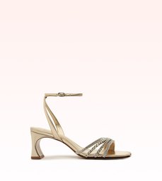 Stacy Zircone 50 Golden