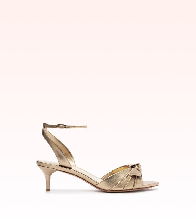 New Clarita Kitten 50 Marrone