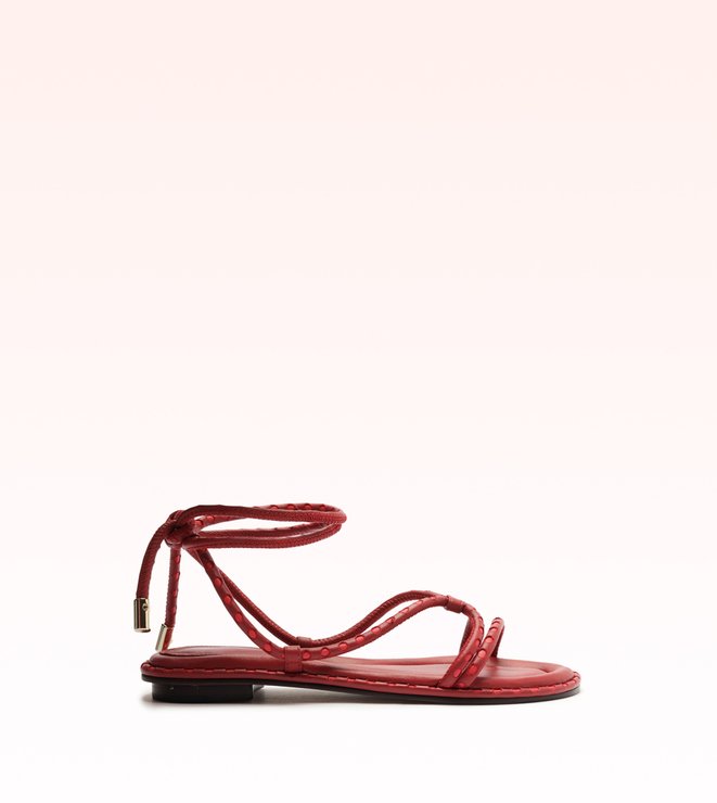 Donna Flat 15 Macaw