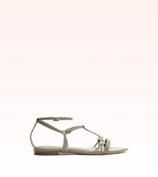 Sonya Flat Fossil