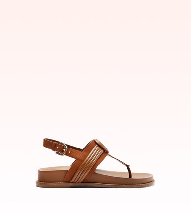 Vicky Sandal 40 Espresso | Alexandre Birman