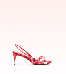Maia 60 Floral Coral Blossom