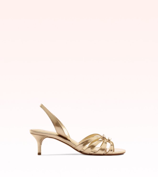 Noelle Kitten Crystal Golden