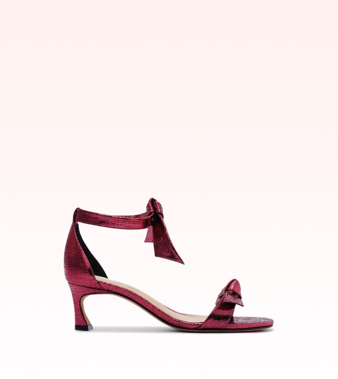 Clarita Kitten Rosewood 