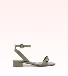 Clarita 30 Fossil
