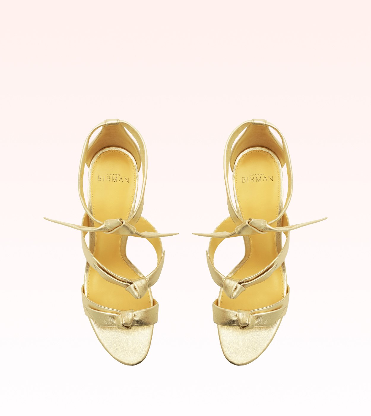 ⭐︎1955⭐︎ Fonte de Alimentação 12V 2.5A Plug P4 - Achei Componentes