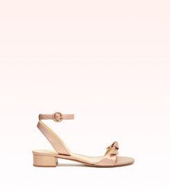 Clarita 30 Champagne