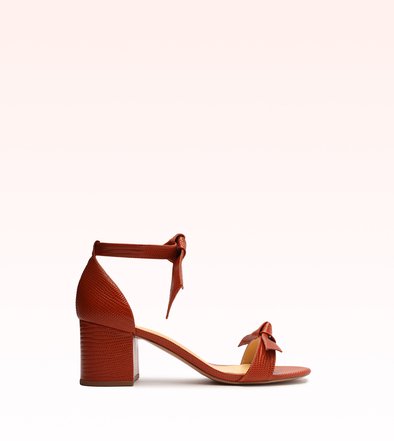 2024新入荷 Clarita Block 60 Terracota 小物