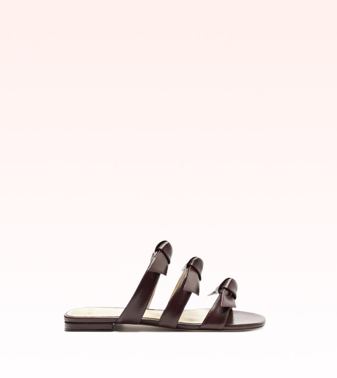 Lolita Square Slide Cherry Lacquer
