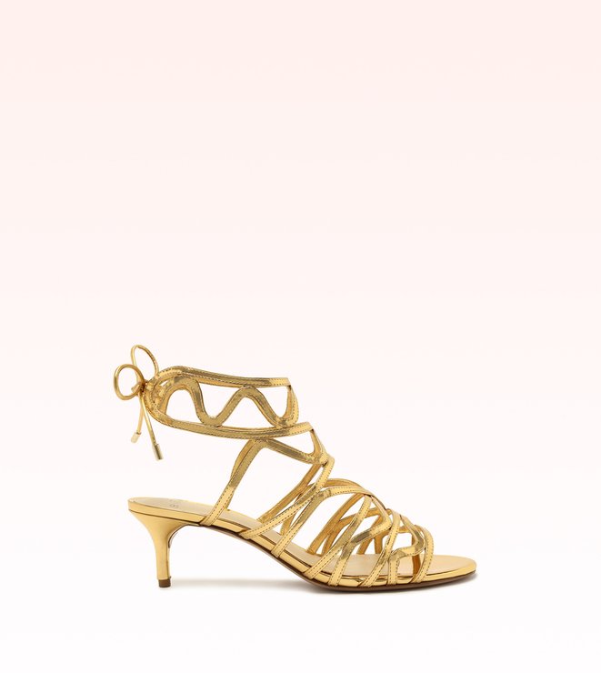 Melody Kitten 50 Oro
