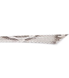 Tira para Clarita Phyton Molurus