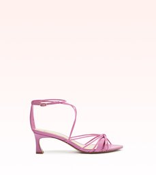 Malena 50 Rosette