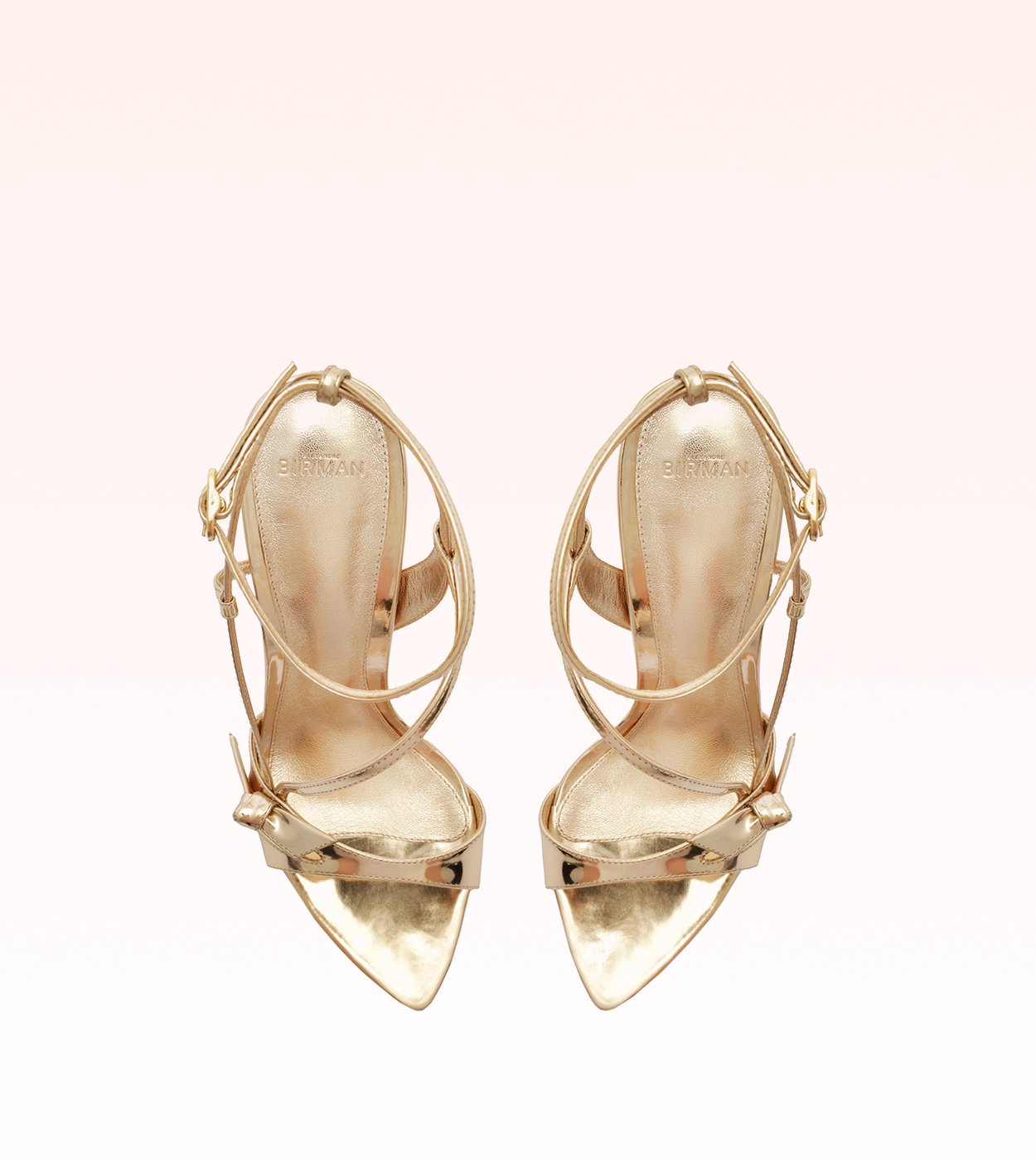逆輸入 Sylvie 100 Birman Alexandre | Golden 置物