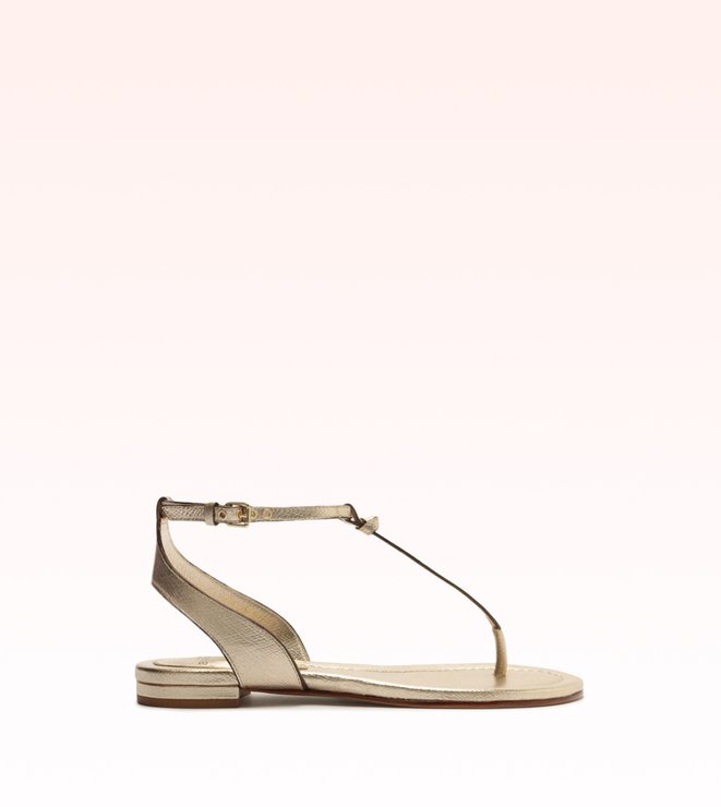Clarita Hoop Flat Golden
