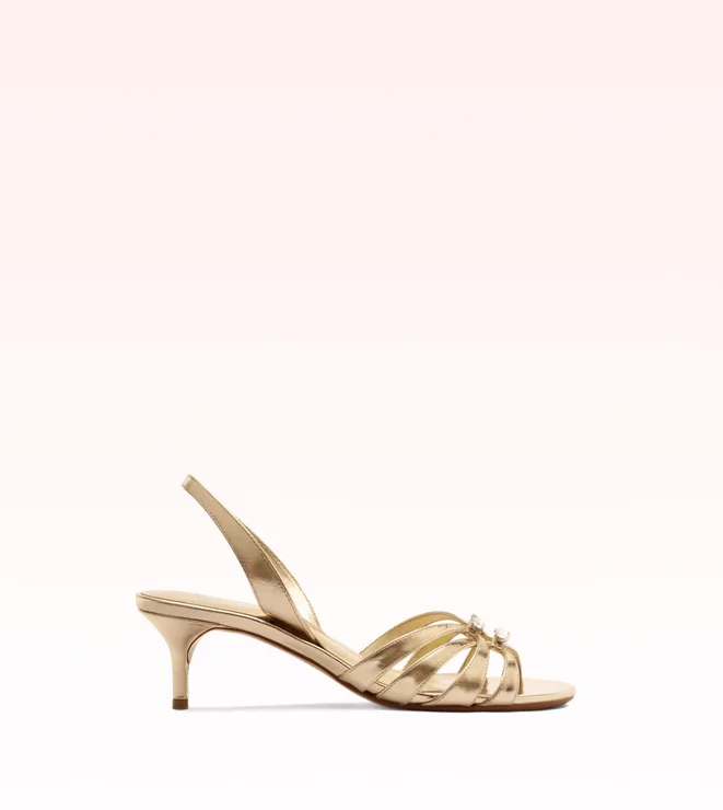 Noelle Kitten Crystal Golden