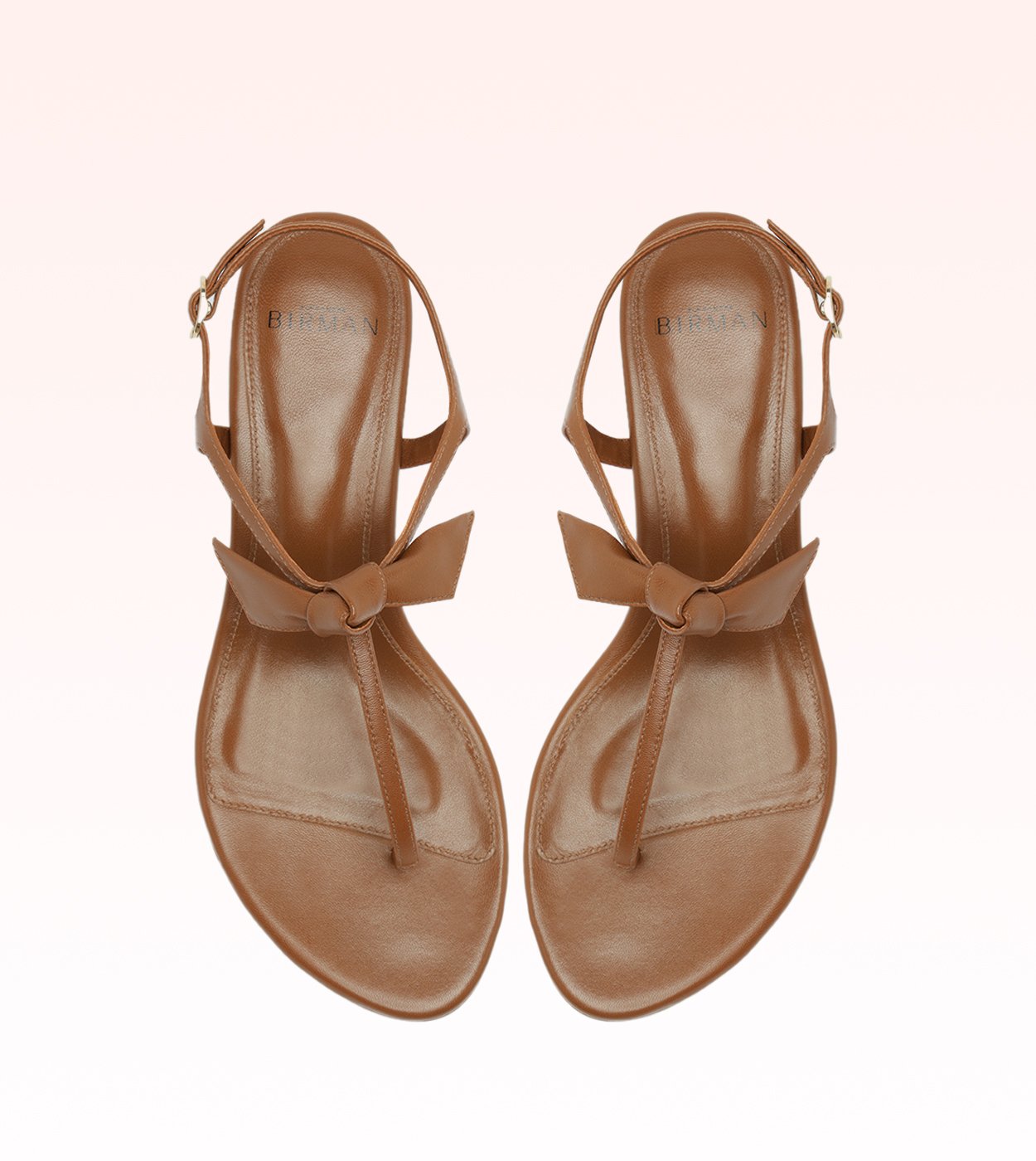 Clara Clarita T Sandal Espresso | Alexandre Birman