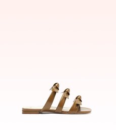 Lolita Square Slide Kelp
