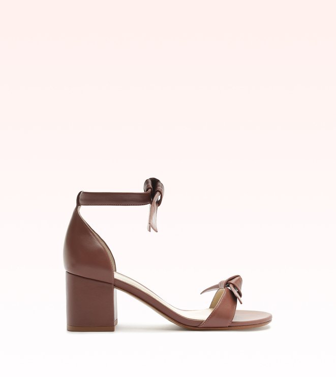 Clarita Block 60 Antique Blush