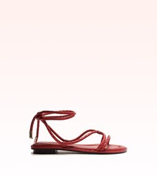 Donna Flat 15 Macaw