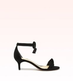 Clarita Kitten Heel 50 Suede Black
