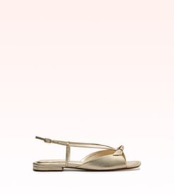 Lita Square Flat Golden