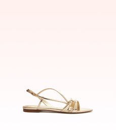 Sylvie Flat 10 Golden