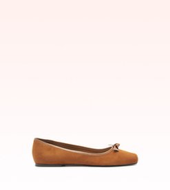 Clarita Square Ballerina Espresso