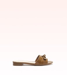Regina Flat Kelp