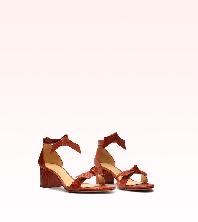 Clarita Block 60 Terracota | Alexandre Birman