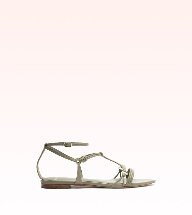 Sonya Flat Fossil