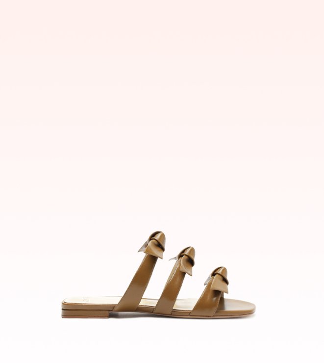 Lolita Square Slide Kelp