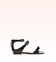 Lolita Square Flat Black