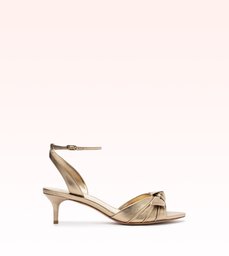New Clarita Kitten 50 Marrone